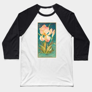Iris (Iris Germanica) Baseball T-Shirt